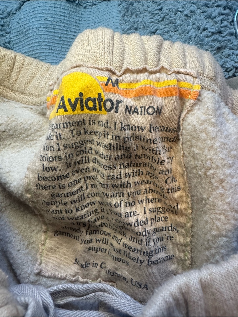 Aviator Nation 5 Stripe Sweatpants in a Sand Tan color - Picture 7 of 7